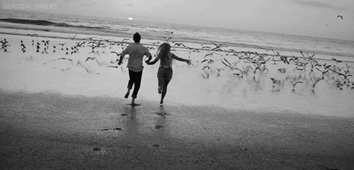 couple, love, courir sur la plage, amour, noir et blanc, mouettes