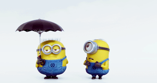 minion, les minions, double parapluie