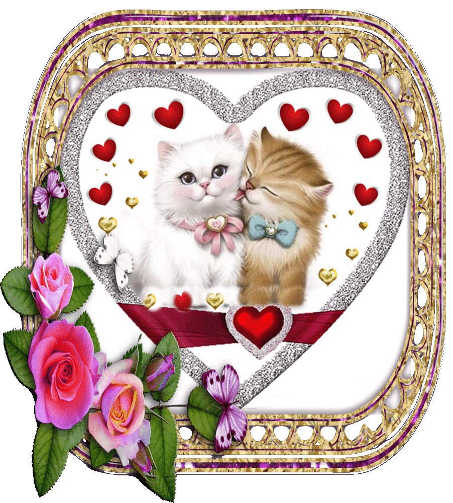 cats, kittens, roses, chats, chatons