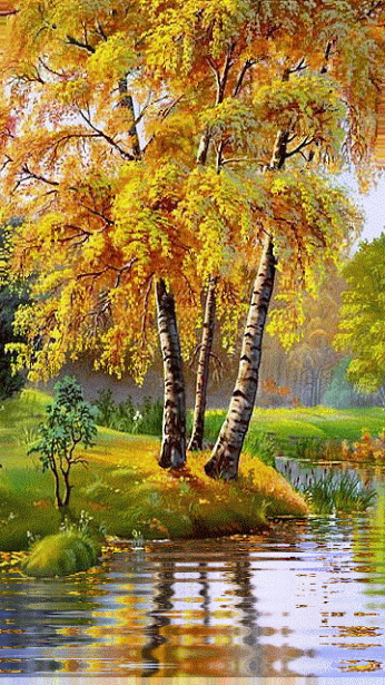 bouleau, arbre au bord dun lac, nature, automne