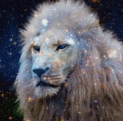 lion etoiles Image, animated GIF