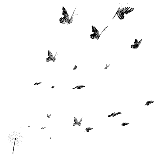 borboletas, papillons, voler, noir et blanc