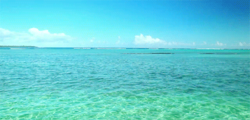 lagon, plage paradisiaque, eau turquoise, mer, ocean, tropiques, soleil, vacances, nature