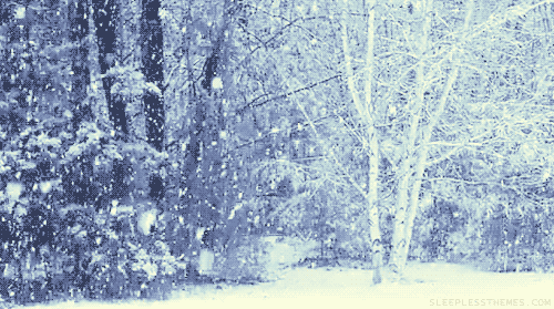 hiver, neige, winter, snow, arbre, foret