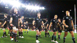 rugby, all blacks, haka, danse