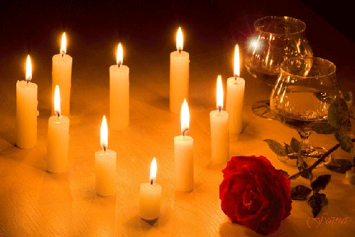 candles, red rose