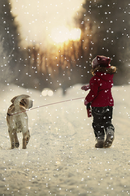 petite fille, chien, neige