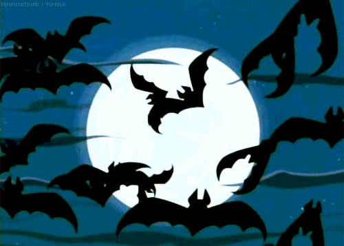 halloween, chauve souris, bats