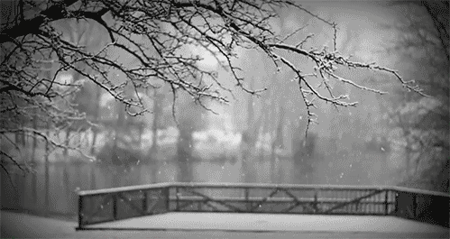hiver, neige, winter, snow, central park, new york, cinemagraph
