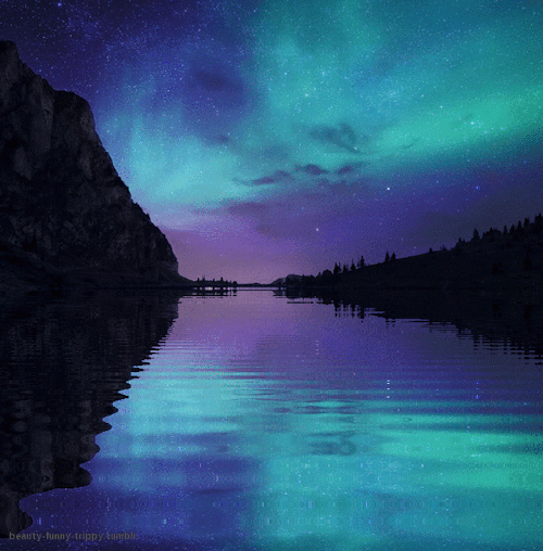 lac, ciel etoile, paysage de nuit, nocturne