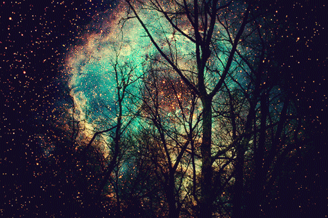ciel, etoiles, nuit, arbres, galaxie