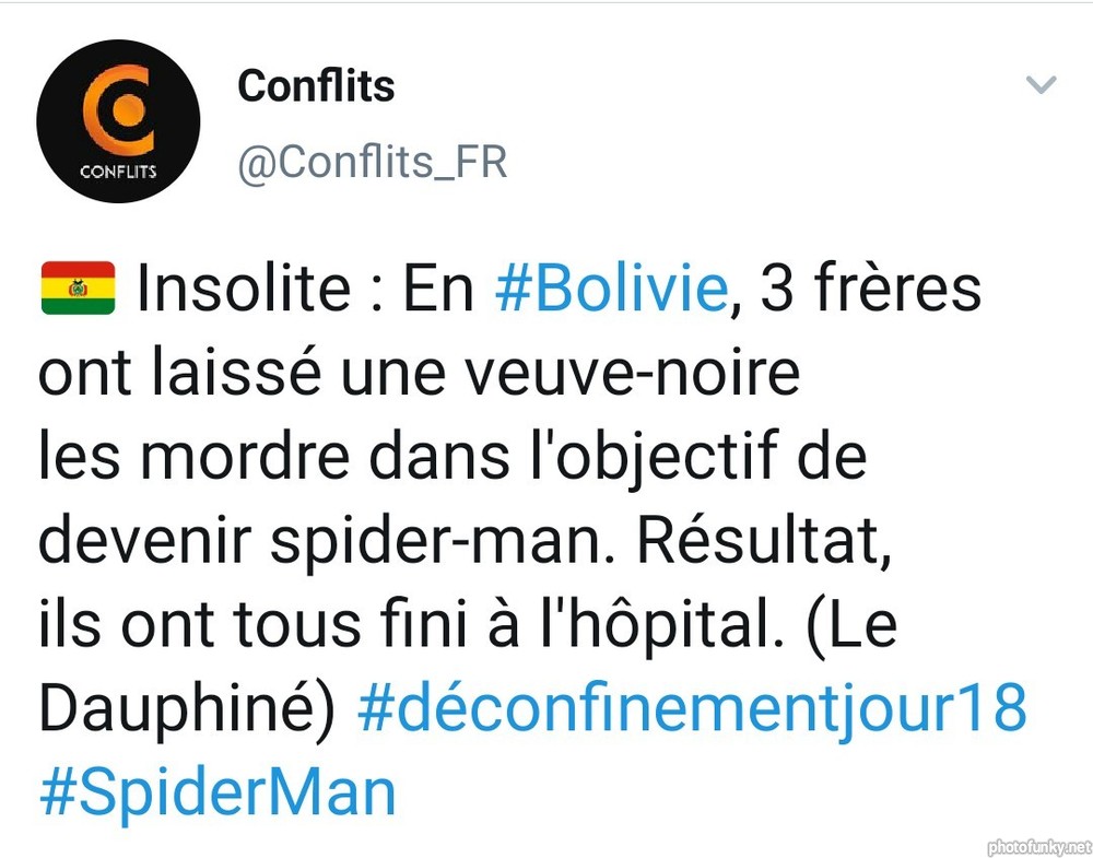 en bolivie 3 frères ont laissé une veuve noire les mordre dans l'objectif de devenir spiderman, résultat ils ont tous fini à l'hôpital