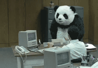 ordi cassé, panda énervé