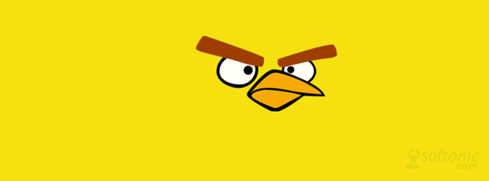 angry birds, chick, jaune, couverture