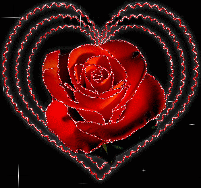 coeur et rose rouge