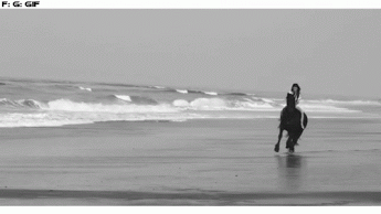 galoper sur la plage, femme a cheval, noir et blanc
