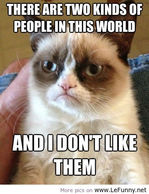 grumpy cat, meme, there are two kinds of people, and i dont like them