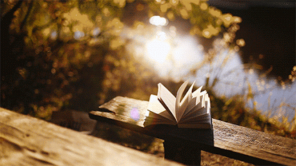 livre, automne, vent dans les pages