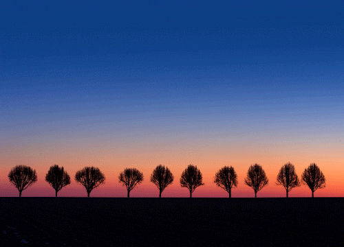 coucher de soleil, lever de soleil, arbres