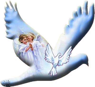 colombe de la paix, anges