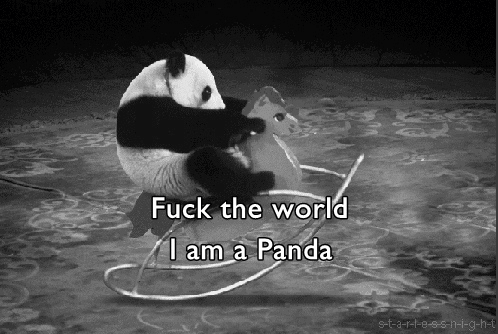 panda, cheval a bascule, fck the world i am a panda, animal mignon, noir et blanc