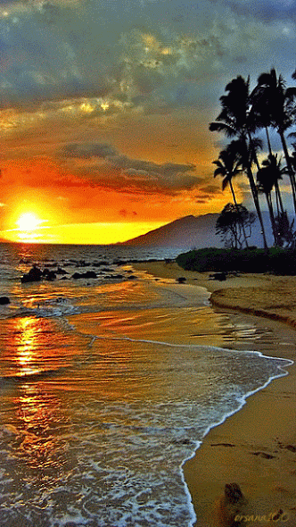 paysage paradisiaque, mer, plage, coucher de soleil, palmiers