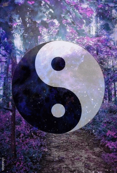 yin et yang, zen