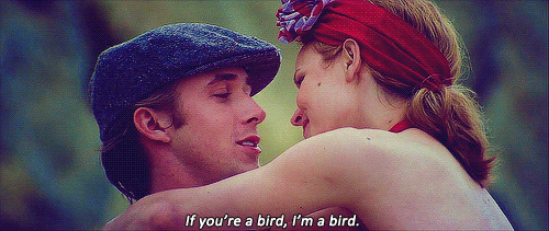 the notebook, ryan gosling, rachel macadams, if you are a bird i am a bird, couple
