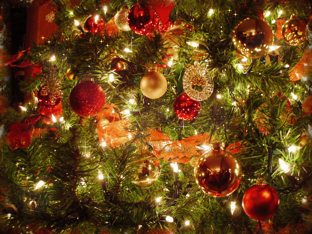 joyeux noel, merry christmas, guirlande lumineuse, sapin de noel, christmas tree