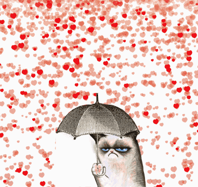 grumpy cat, vaentine day, saint valentin, pluie de coeurs, its raining hearts