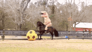 dinosaure qui joue au football, cheval, equitation, sport
