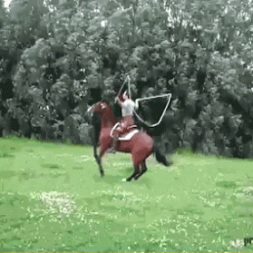 equitation, cheval, corde a sauter