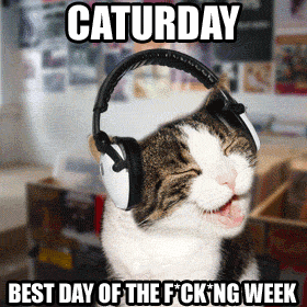 chat, musique, casque, samedi, caturday, saturday, weekend