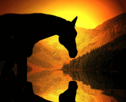 silhouette cheval, lac, montagne