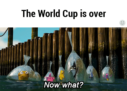 finding nemo, le monde de nemo, the world cup is over, now what