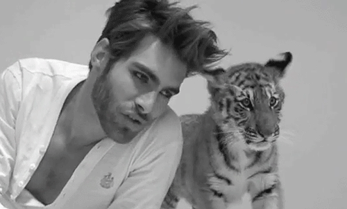 tigre et homme sexy, noir et blanc, felin, tiger, big cat