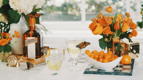 table, repas, cointreau, papillon orange, cinemagraph, kumqat, alcool