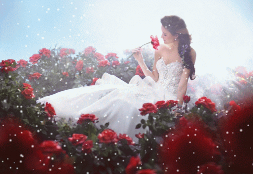 woman, red roses, snow