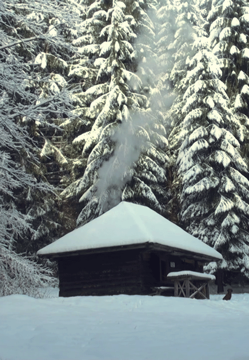 hiver, neige, winter, snow, chalet, petite maison en bois, house in the woods, foret, feu de cheminee, cinemagraph