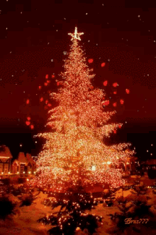 christmas lights, merry xmas, joyeux noel, guirlande lumineuse, lumieres, sapin de noel