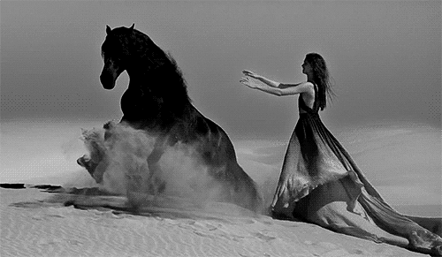 cheval, animal, desert, sable, femme, noir et blanc