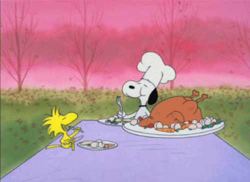 snoopy, woodstock, dinde, thanksgiving