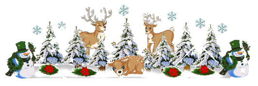 joyeux noel, merry christmas, rennes, bonhomme de neige