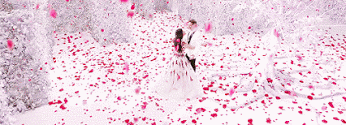 couple, pluie de petales de roses