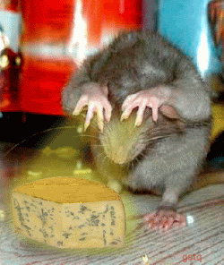 souris, fromage
