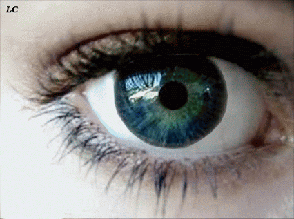 retine, pupille en forme de coeur