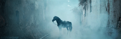 cheval, animal, brume