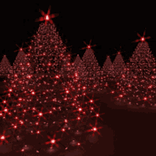 christmas lights, merry xmas, joyeux noel, guirlande lumineuse, lumieres, sapin de neol rouge, red tree