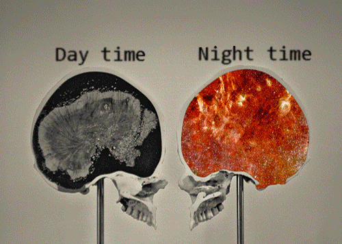 cerveau, jour et nuit, brain, night time, day time