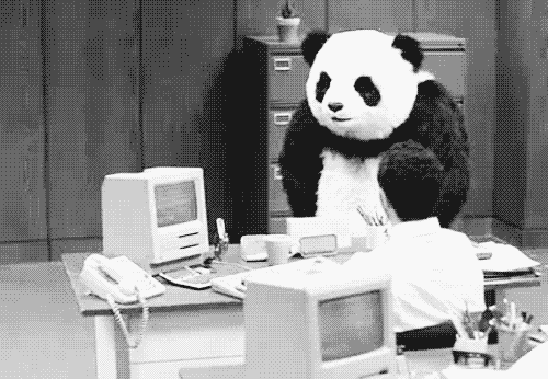 panda en colere, enerver, tout casser, bureau, animal mignon, noir et blanc